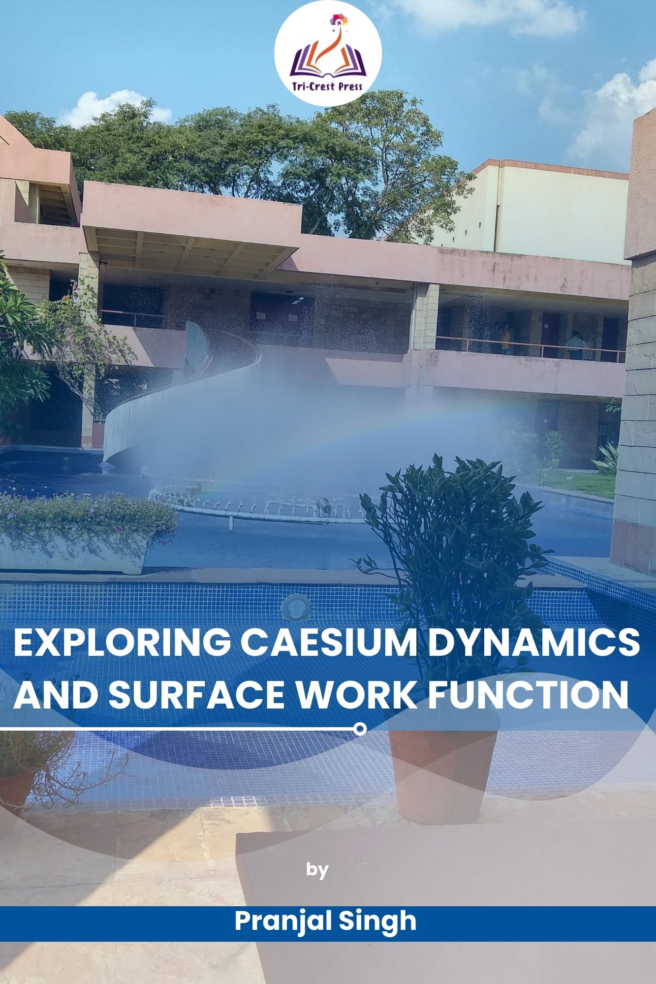 Exploring Caesium Dynamics and Surface Work Function